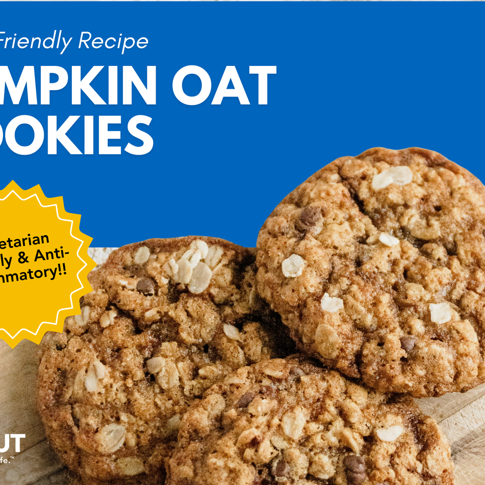 Pumpkin Oat Cookies